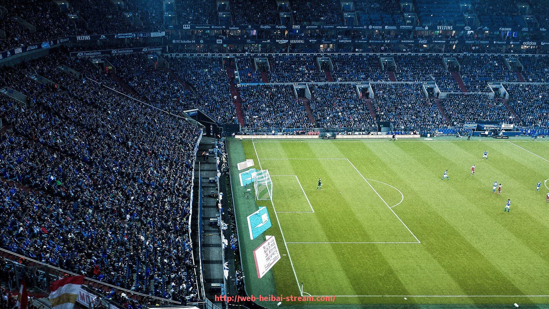 黑白体育直播-各种健身器材使用：多种健身器材的使用方法与效果分析